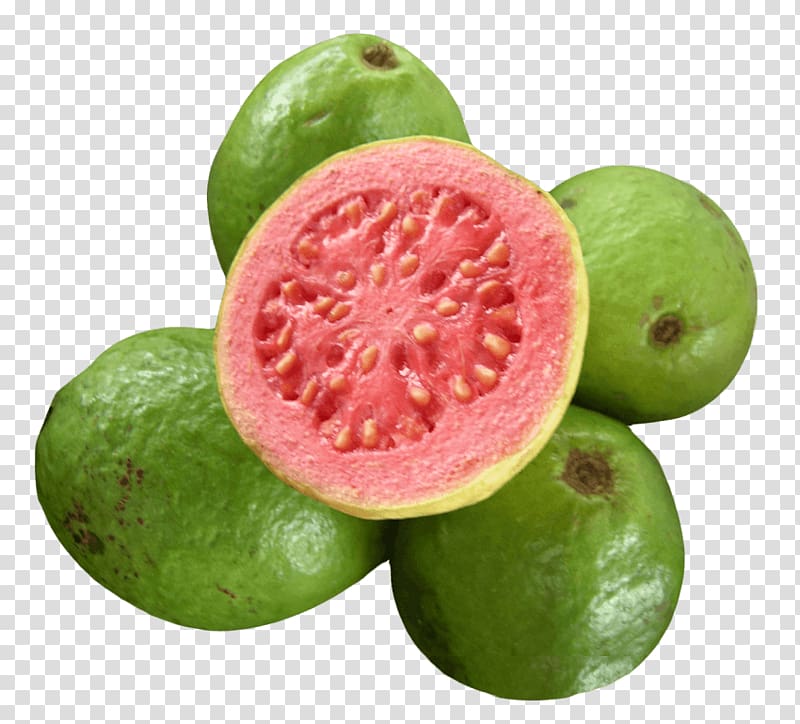 Common guava Tropical fruit Juice, Guava tree transparent background PNG clipart