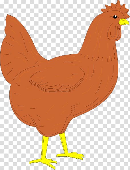 Silkie Chicken meat , Rooster transparent background PNG clipart