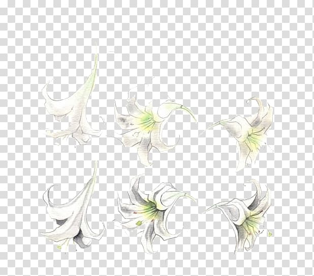 Floral design Wedding Ceremony Supply Pattern, White lily transparent background PNG clipart