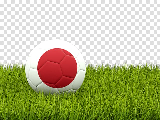 Nottingham Forest F.C. American football Pakistan Football Federation Football Association of Serbia, Japan football transparent background PNG clipart