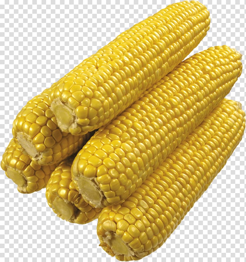 Corn on the cob Maize, Corn transparent background PNG clipart