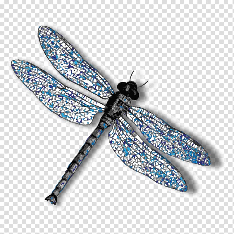 Insect Dragonfly , dragonfly transparent background PNG clipart