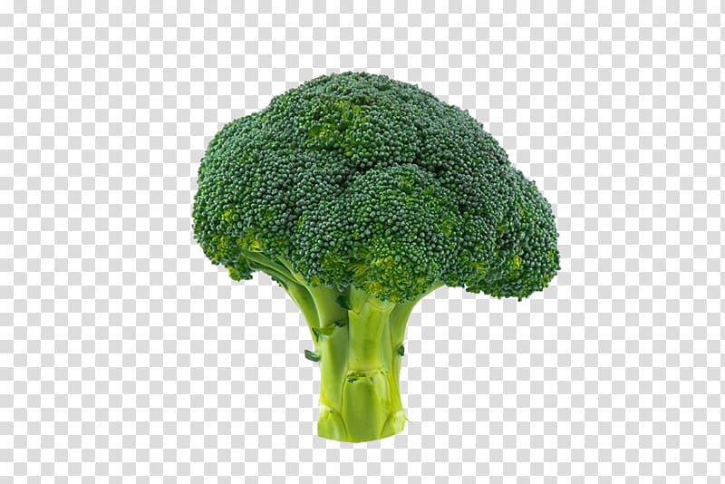 Broccoli Vegetable Cauliflower, cauliflower transparent background PNG clipart