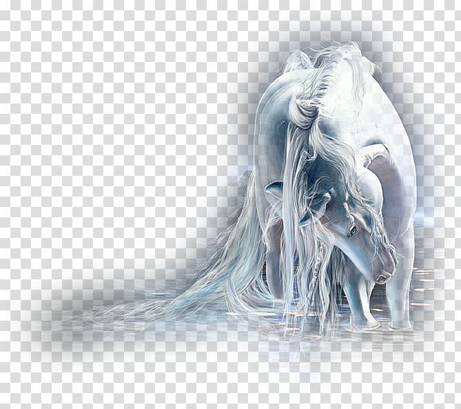white horse illustration, Akhal-Teke Unicorn Legendary creature Pegasus , Bow horse transparent background PNG clipart