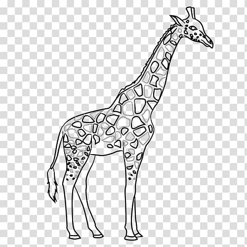 Giraffe Line art Contour drawing, color paperrplanes transparent background PNG clipart