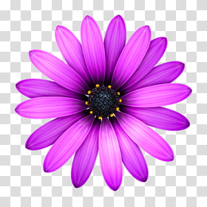 TextMate macOS Text editor Programmer Computer Software, Github transparent background PNG clipart thumbnail