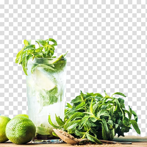 Mojito Cocktail Rum Mint julep, cool mint transparent background PNG clipart