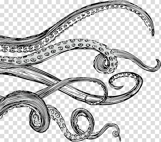 gray octopus , Tentacle Octopus Drawing Sticker, tentacles transparent background PNG clipart