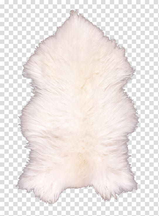 Fur, mouton transparent background PNG clipart
