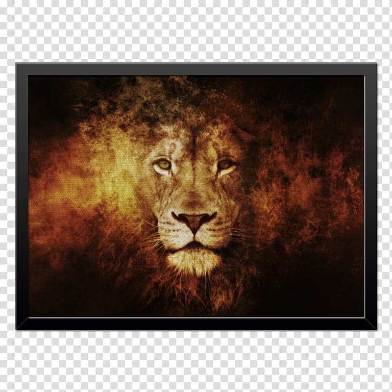 Lion Leopard Age of Empires III: The Asian Dynasties Age of Empires Online, lion transparent background PNG clipart