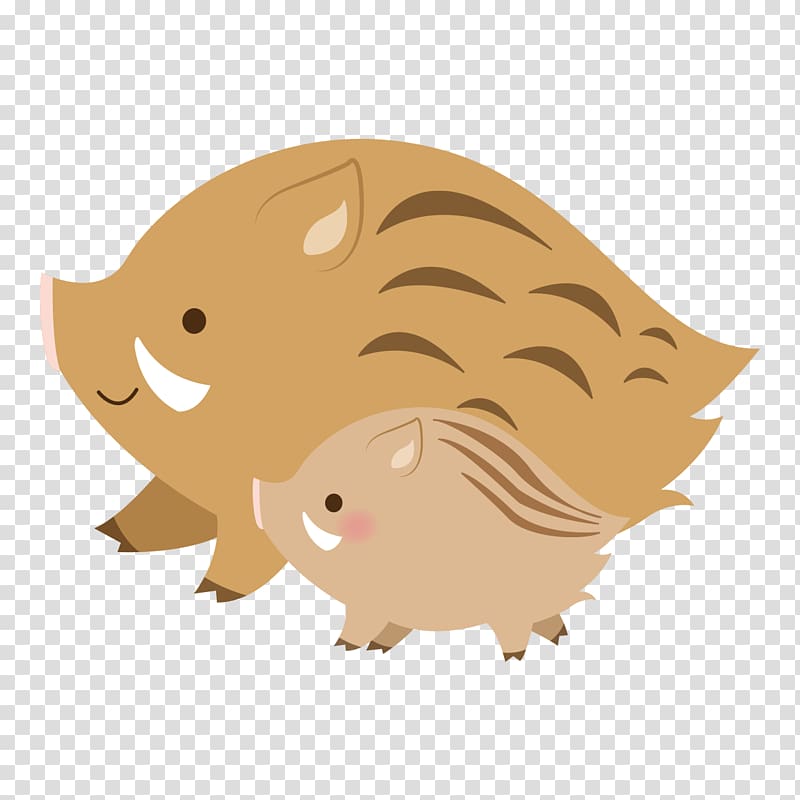 Wild boar Whiskers Illustration Bear, cat transparent background PNG clipart