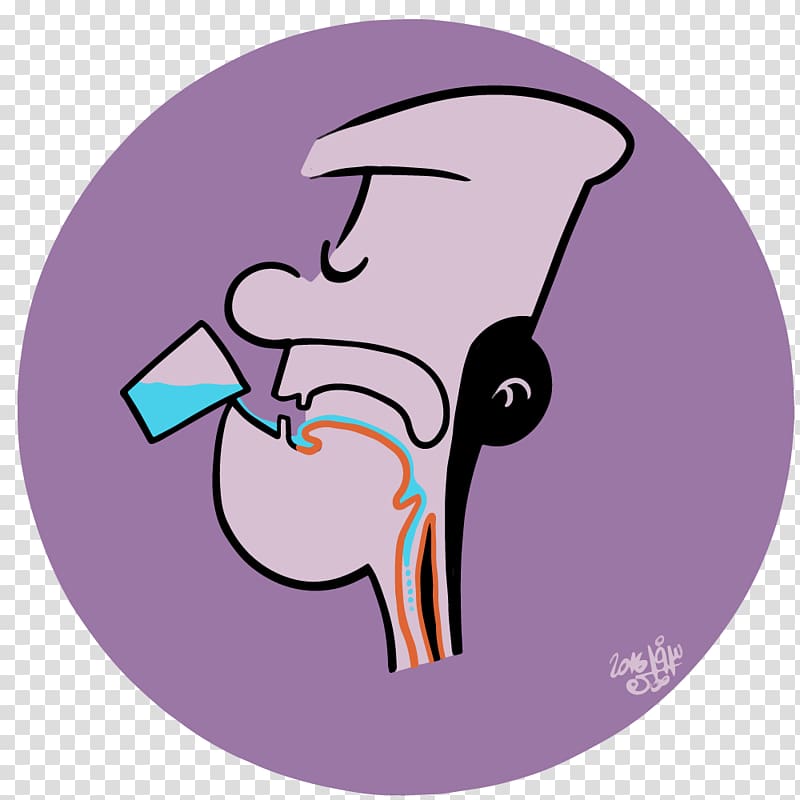 Pharynx Nose Cranial nerves Muscle, nose transparent background PNG clipart