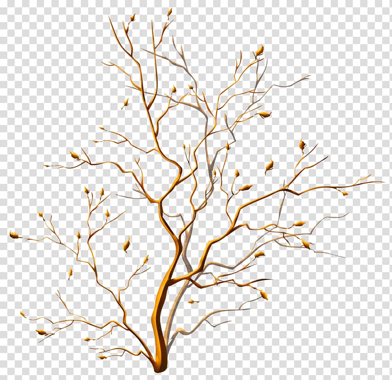 Floral Ornament , color decorative tree transparent background PNG clipart Floral Ornament , color decorative tree transparent background PNG clipart