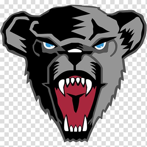 University of Maine Maine Black Bears football Maine Black Bears men's ice hockey Maine Black Bears women's basketball American black bear, bear transparent background PNG clipart