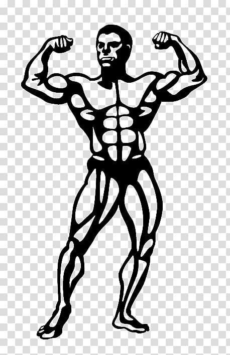 Natural bodybuilding , bodybuilding transparent background PNG clipart