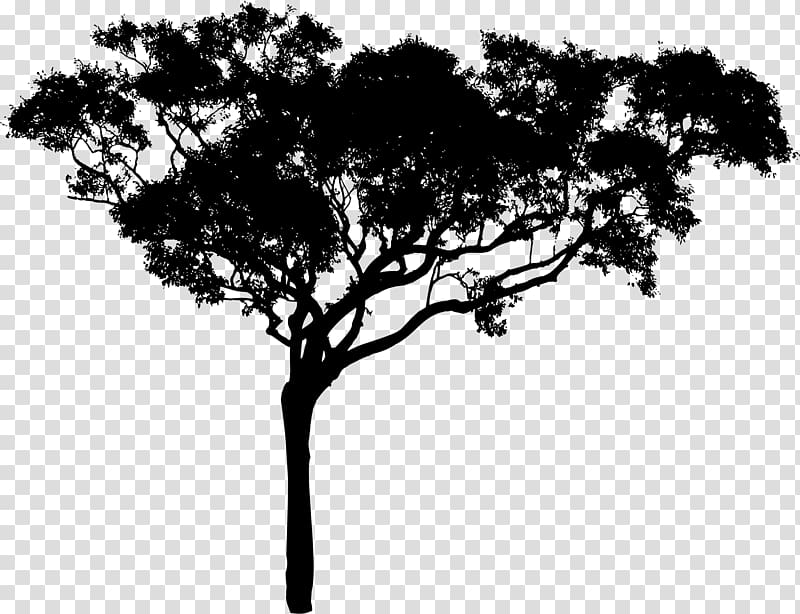 Tree Silhouette Branch , tree transparent background PNG clipart