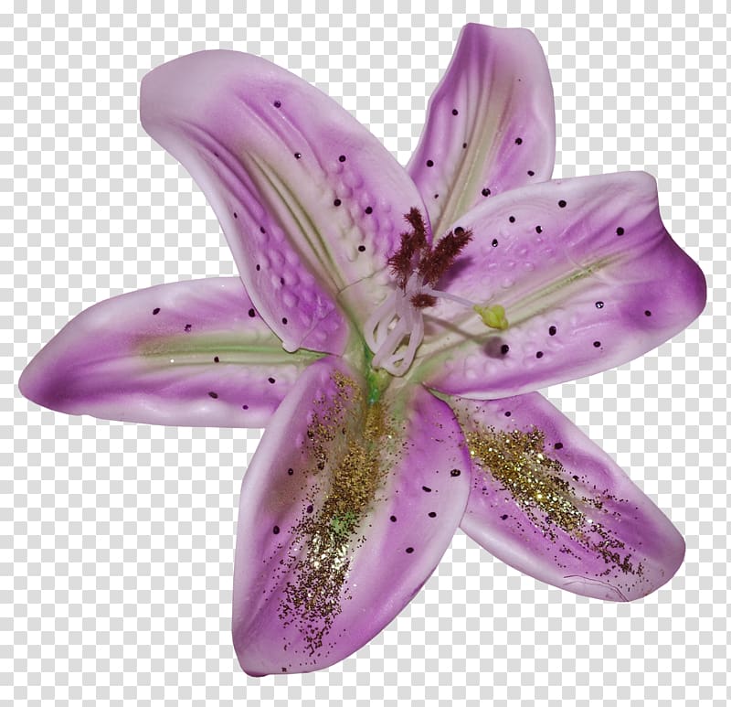 Flower Blue Petal Violet Wall iris, flower transparent background PNG clipart