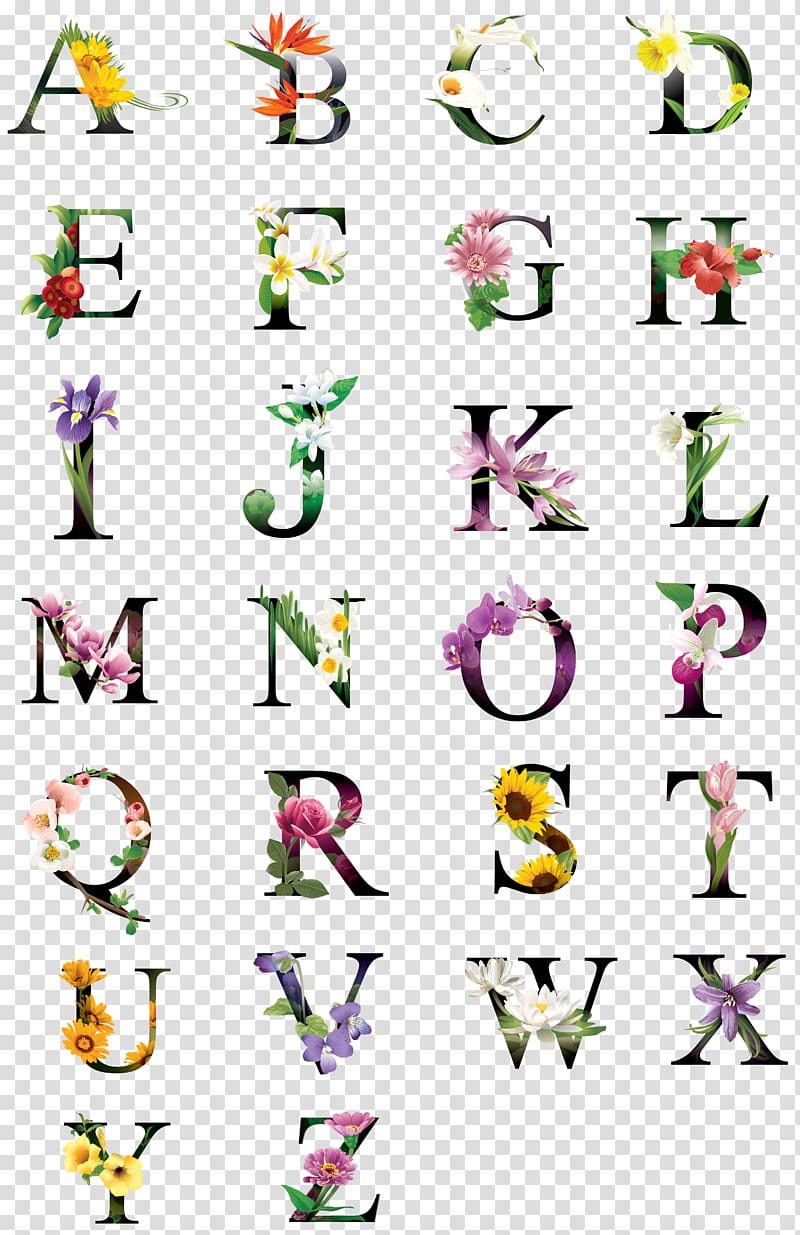 ABC's Lowercase , alphabet collection, floral alphabetical decor transparent background PNG clipart