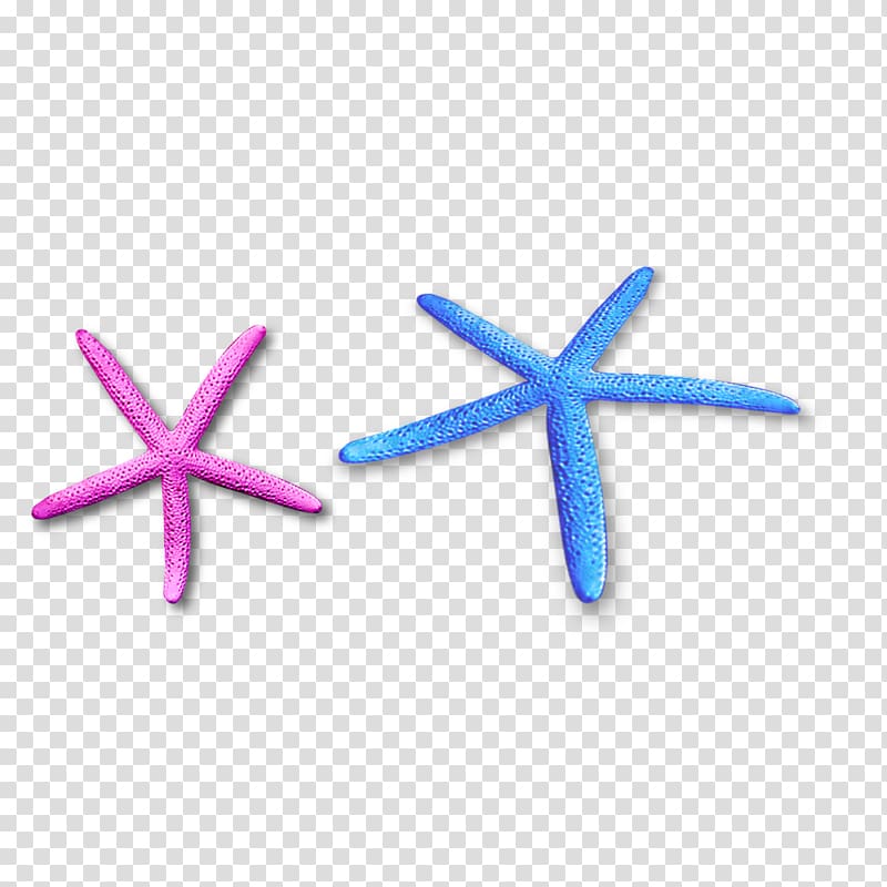 Starfish Seashell Icon, Free color starfish pull material transparent background PNG clipart