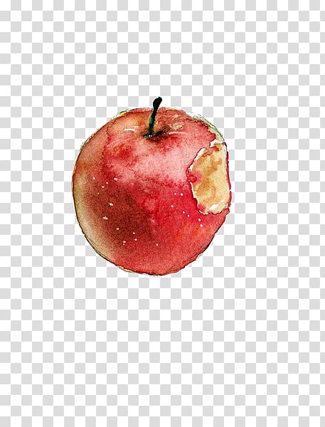 Watercolor painting Apple Sketch, Bitten apple transparent background PNG clipart