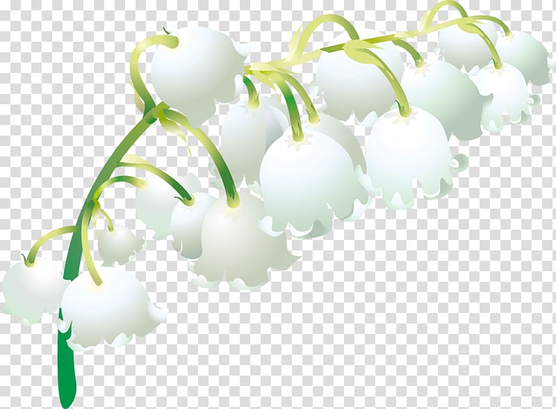 May 1 Flower Plant stem Petal, lily of the valley transparent background PNG clipart