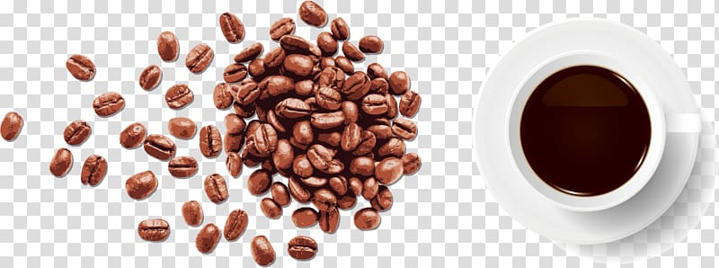 Coffee bean Espresso Cafe, Gourmet Coffee transparent background PNG clipart