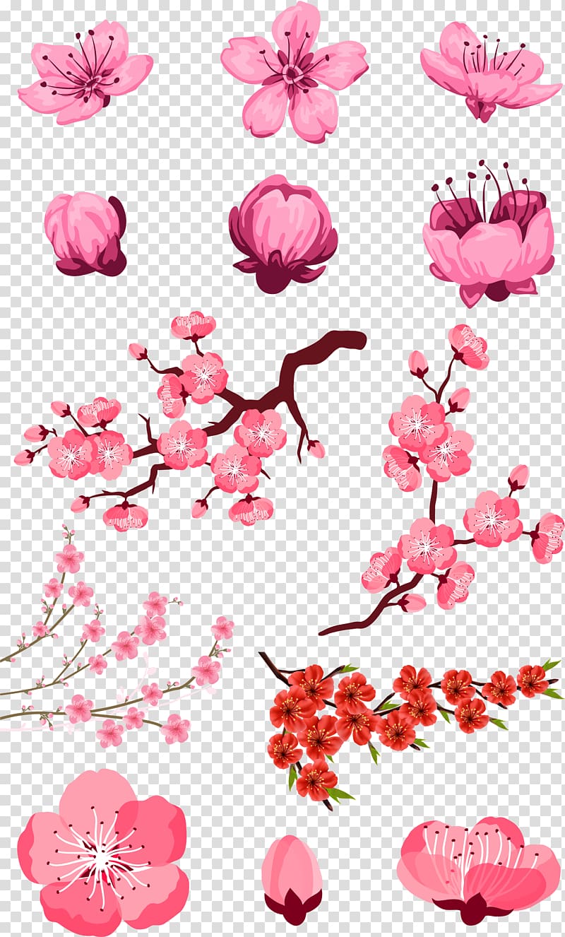 pink flowers design, Adobe Illustrator , Pink peach transparent background PNG clipart