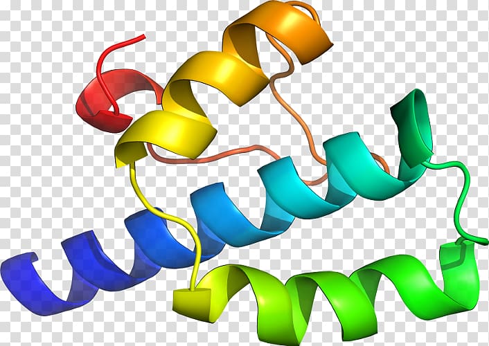 Line , design transparent background PNG clipart