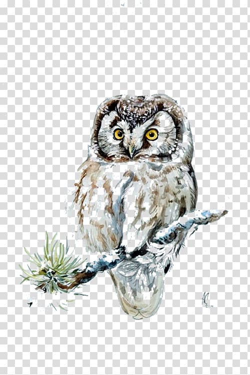 Owl 54 Cards Snow , Snow owl transparent background PNG clipart