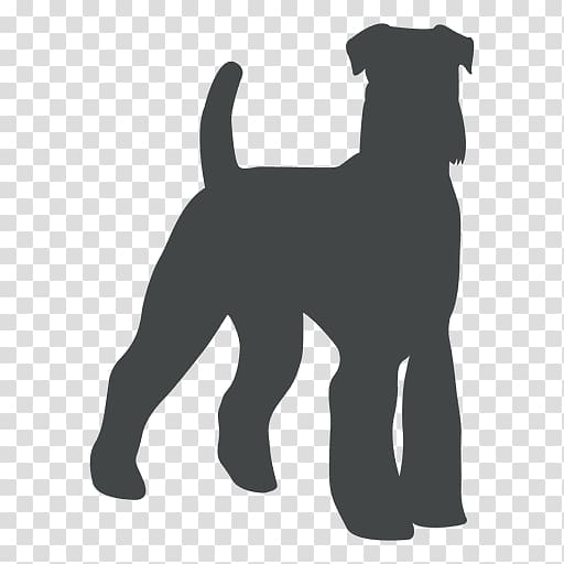 Miniature Schnauzer Puppy Dog breed Standard Schnauzer Dachshund, puppy transparent background PNG clipart