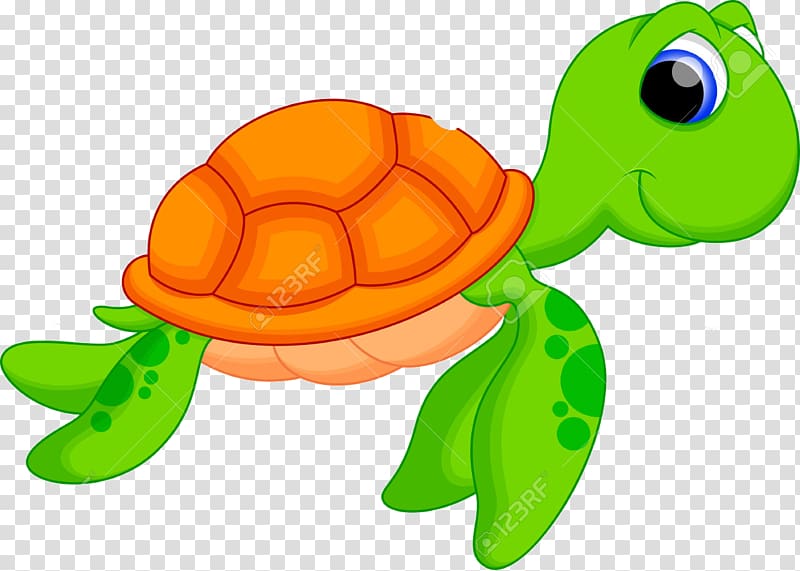 cartoon turtle drawing