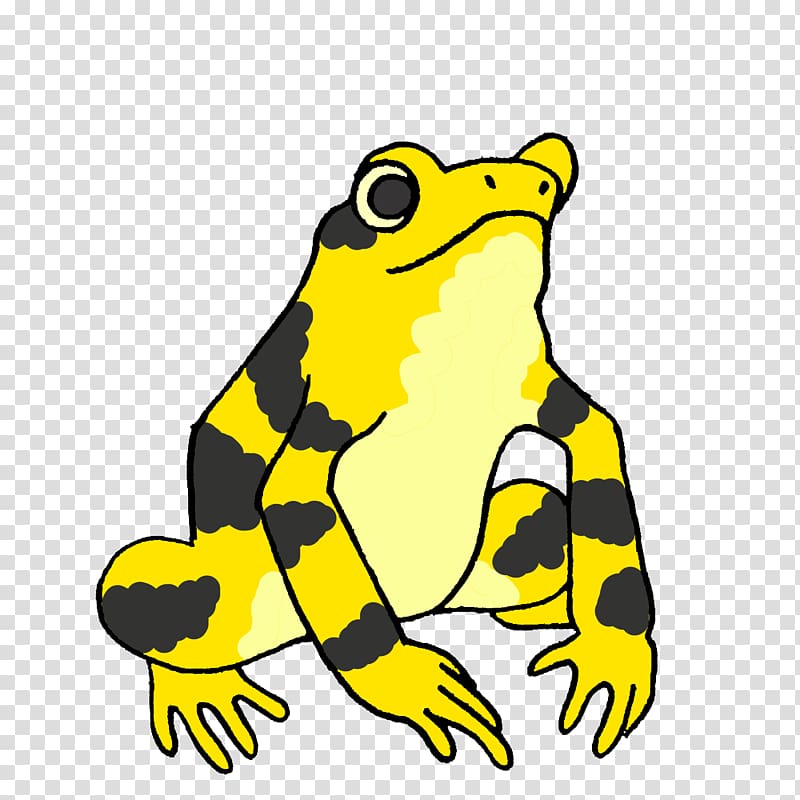 True frog Amphibian Panamanian golden frog Toad, frog transparent background PNG clipart