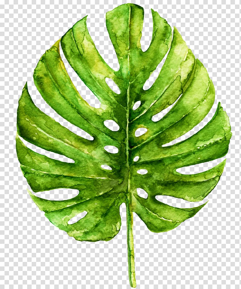 Work of art Watercolor painting Printmaking Printing, Leaf Watercolor transparent background PNG clipart