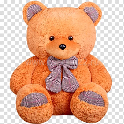 Teddy bear transparent background PNG clipart