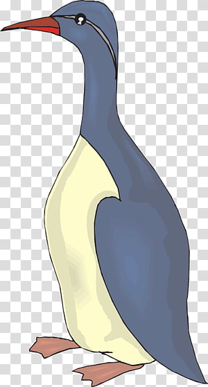 Bird Beak Penguin Duck , ducks transparent background PNG clipart thumbnail