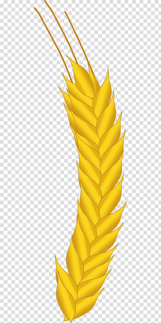 Maize Agriculture Crop Wheat, wheat transparent background PNG clipart