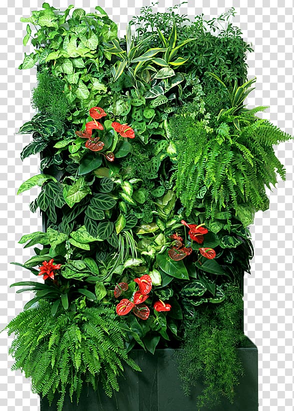 Houseplant Flowerpot Green wall Garden, vertical transparent background PNG clipart