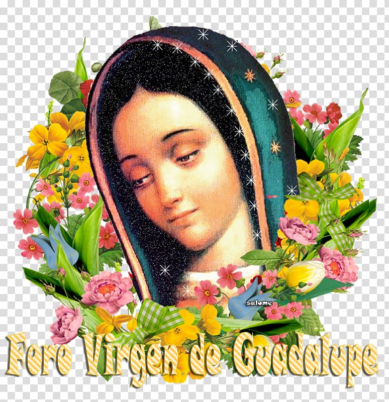 Mary Our Lady of Guadalupe Nican mopohua La rosa de Guadalupe, Mary transparent background PNG clipart