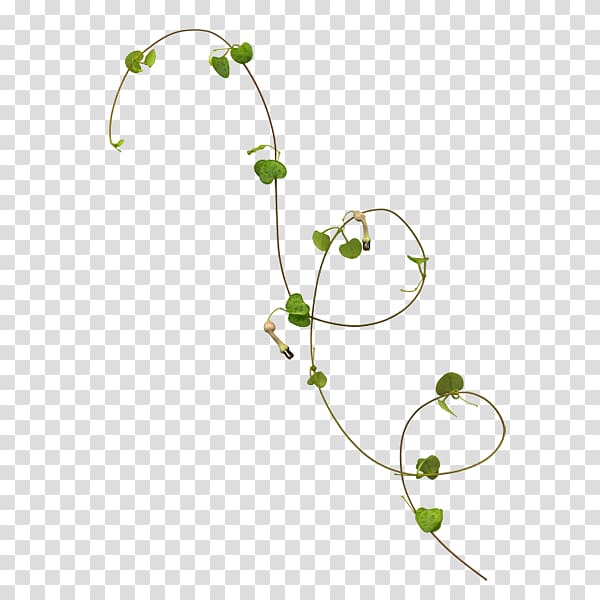 Vine Leaf Plant stem Rattan, Leaf transparent background PNG clipart