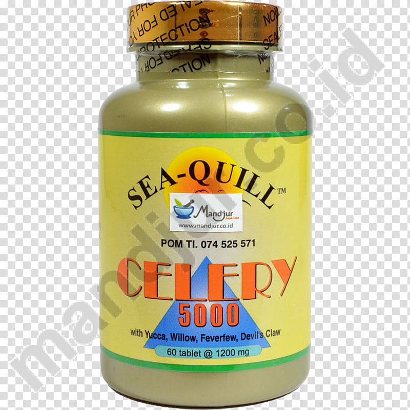 Omega-3 fatty acids Fish oil Salmon Softgel Lachsöl, health transparent background PNG clipart