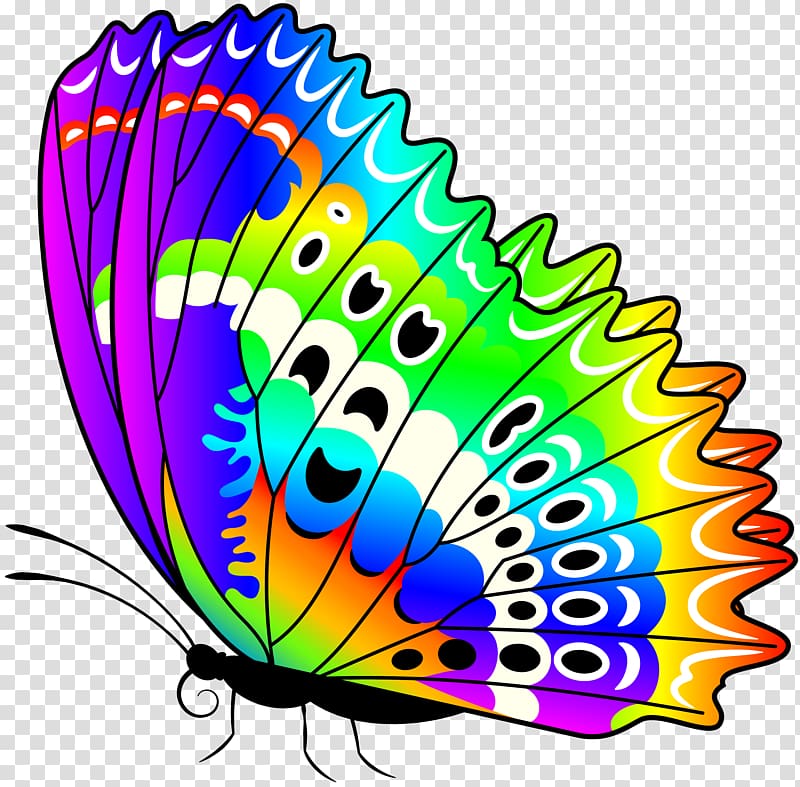 Monarch butterfly , Colorful Butterfly transparent background PNG clipart