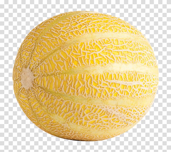 Honeydew Cantaloupe Galia melon SGI SBC HEDGING TR SF Sphere, Cantaloupe melon transparent background PNG clipart