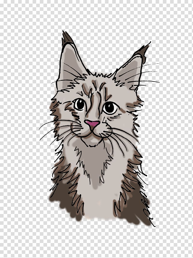 Whiskers Maine Coon Kitten Tabby cat Domestic short-haired cat, kitten transparent background PNG clipart