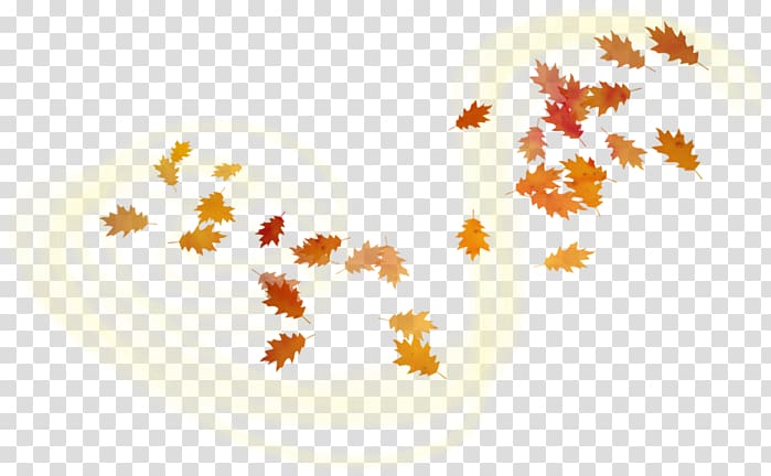 Leaf , Leaf transparent background PNG clipart