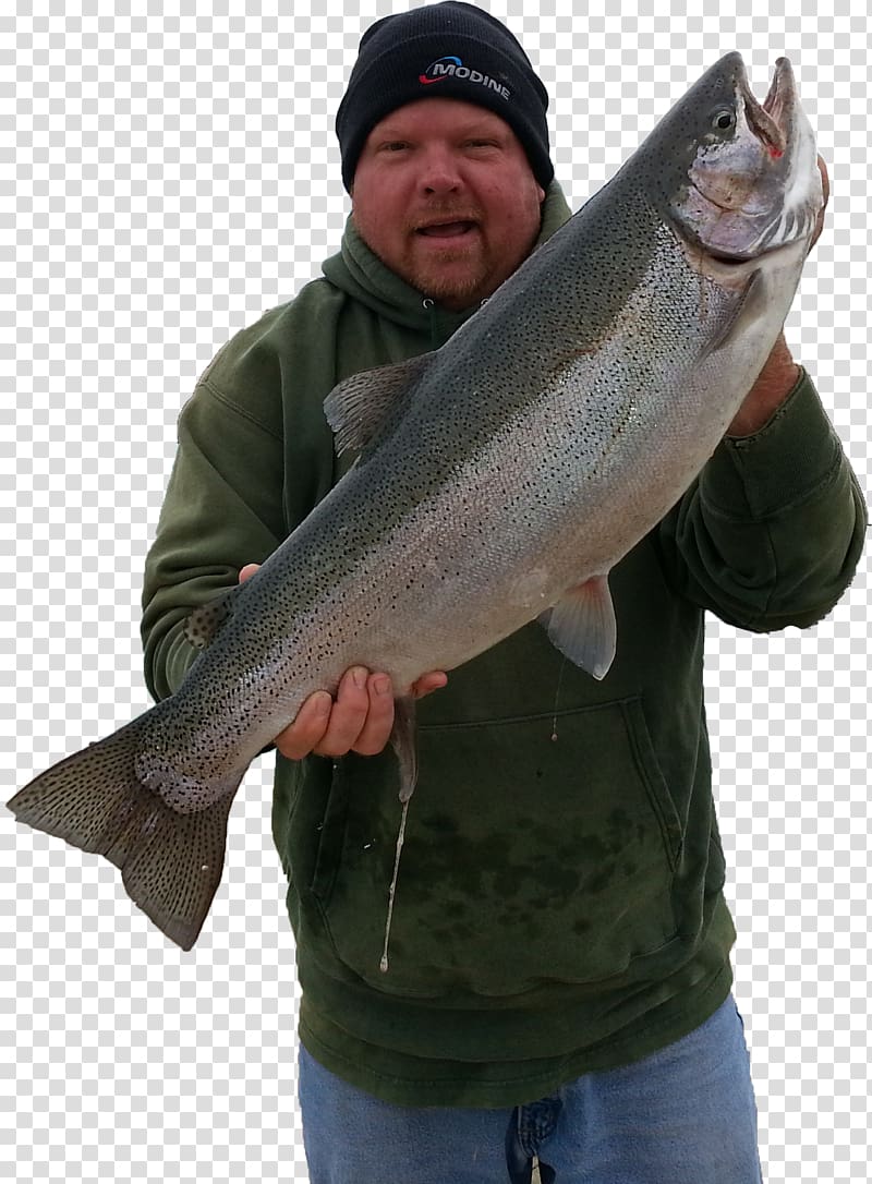 A1 Big Fish Charters Fishing Salmon Trout, Fishing transparent background PNG clipart