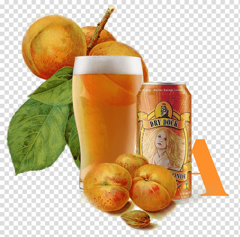 Beer Ale Apricot Brewery Dry Dock Brewing Company, apricot transparent background PNG clipart