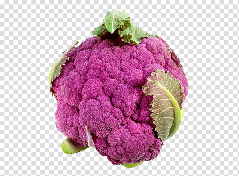 Cauliflower Broccoli Vegetable Kohlrabi Brassica oleracea var. oleracea, Red cauliflower transparent background PNG clipart