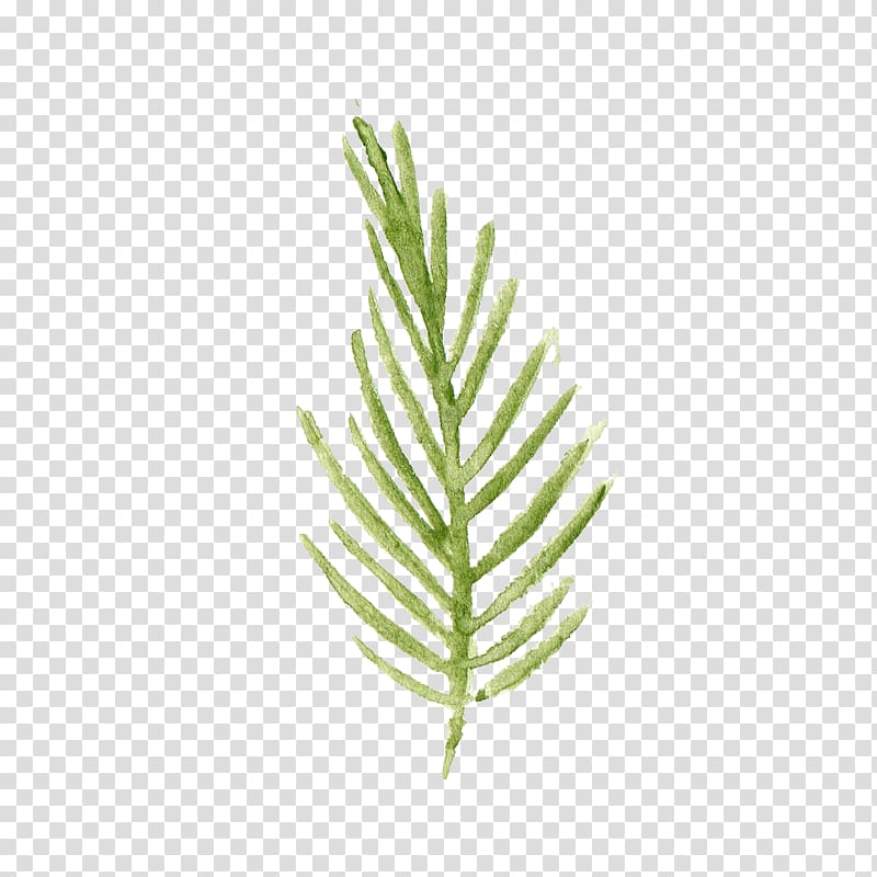 green leafed plant, Leaf Watercolor painting, Green and fresh leaves transparent background PNG clipart