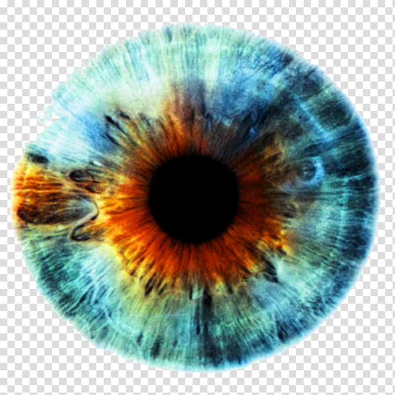 eye len, Iris Human eye Eye color, eyes transparent background PNG clipart