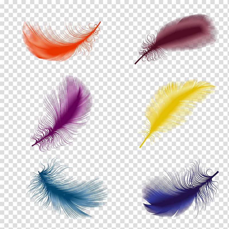 six assorted-color feathers, Bird Feather Drawing Illustration, Floating feather transparent background PNG clipart
